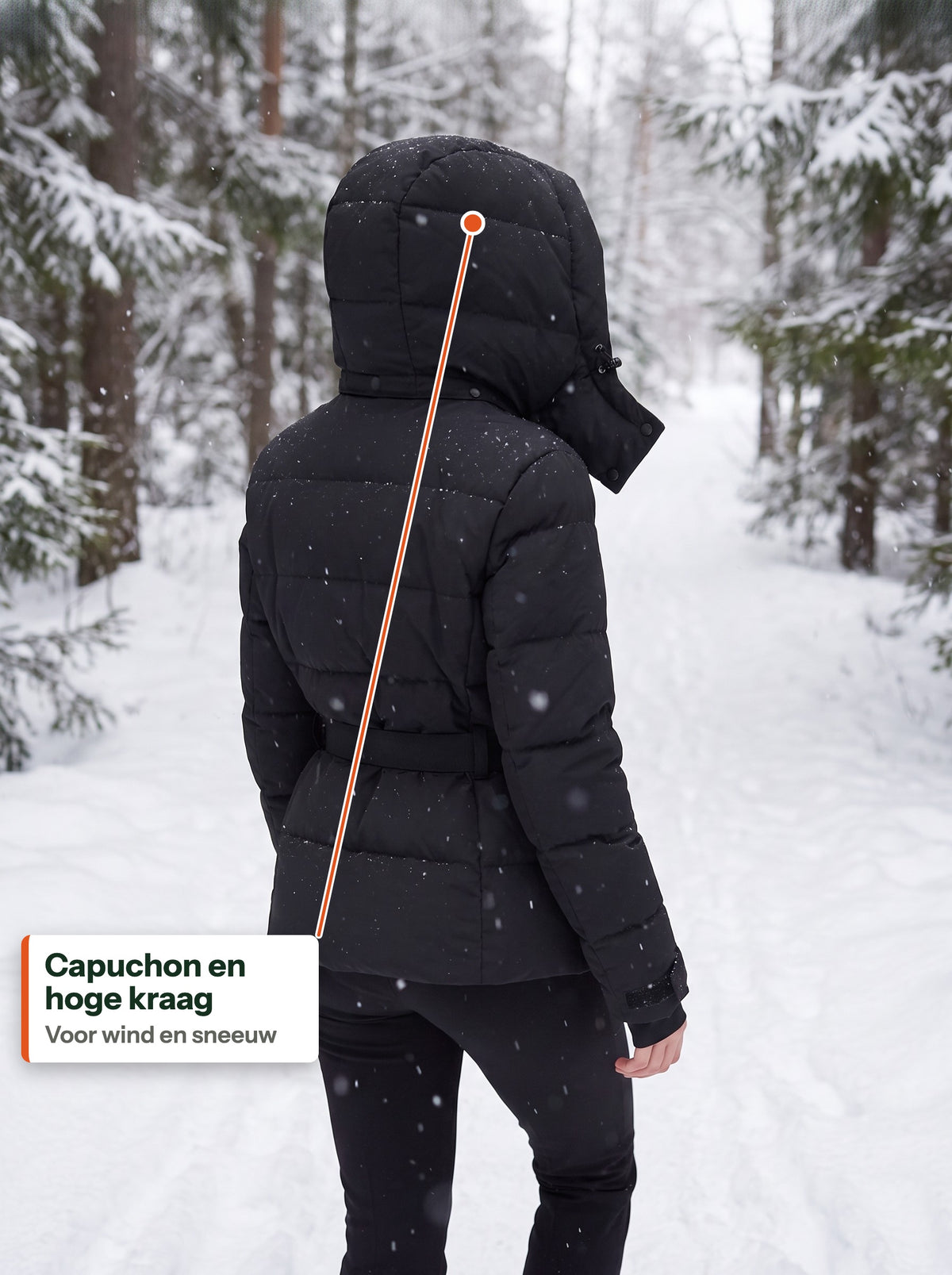 Capuchon op een besneeuwd bospad, van achteren (NL label)