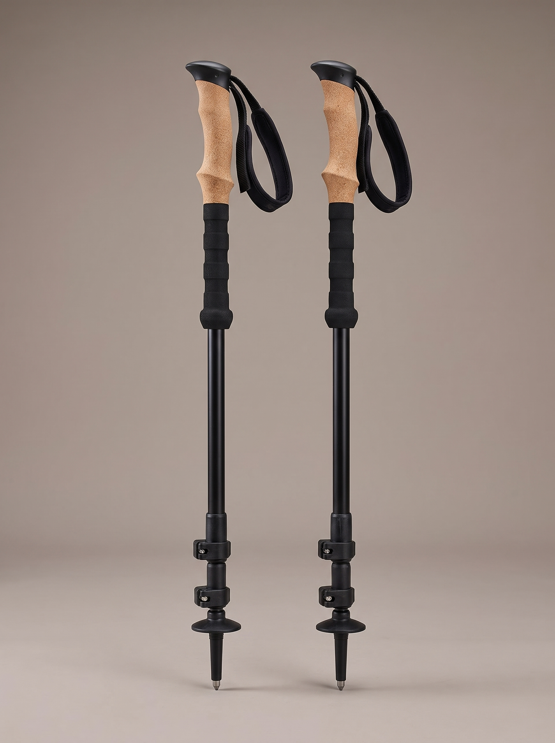 The Trekking Poles
