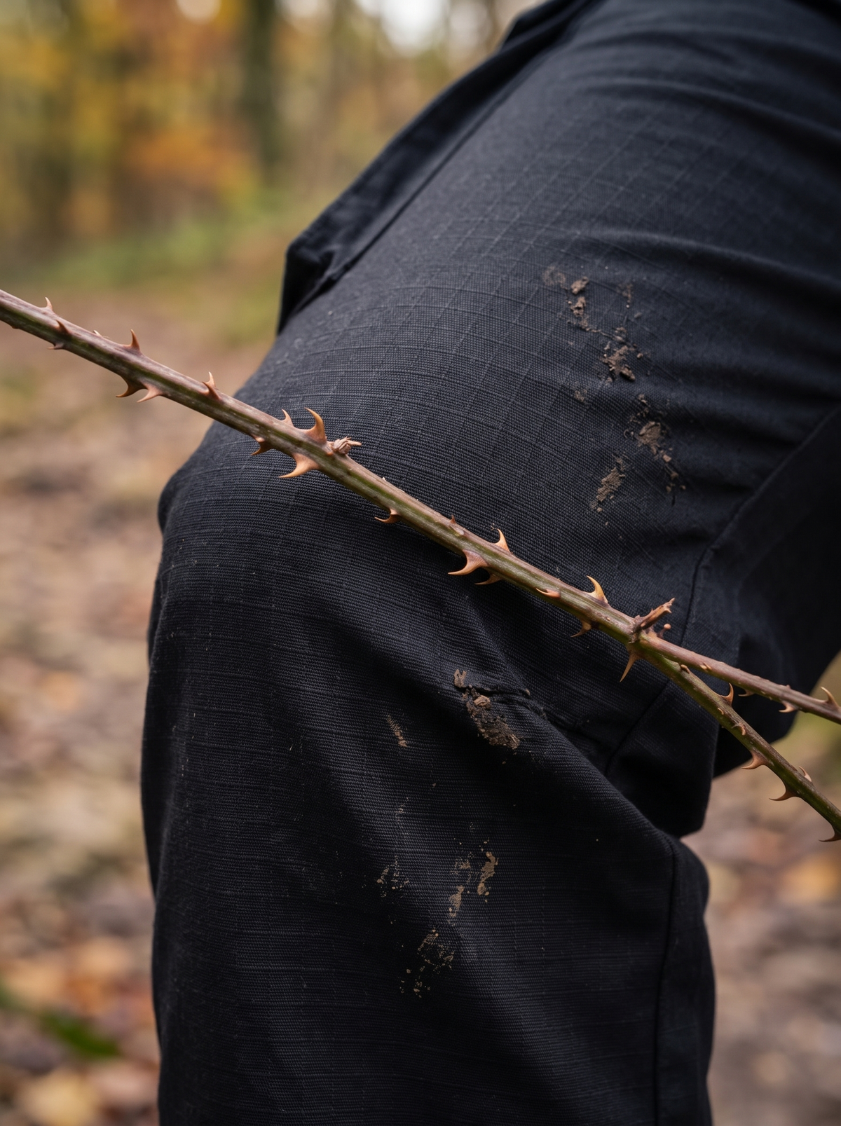 Black ripstop cargo trouser at the knee with a bramble dragging across the ripstop grid on a muddy forest trail