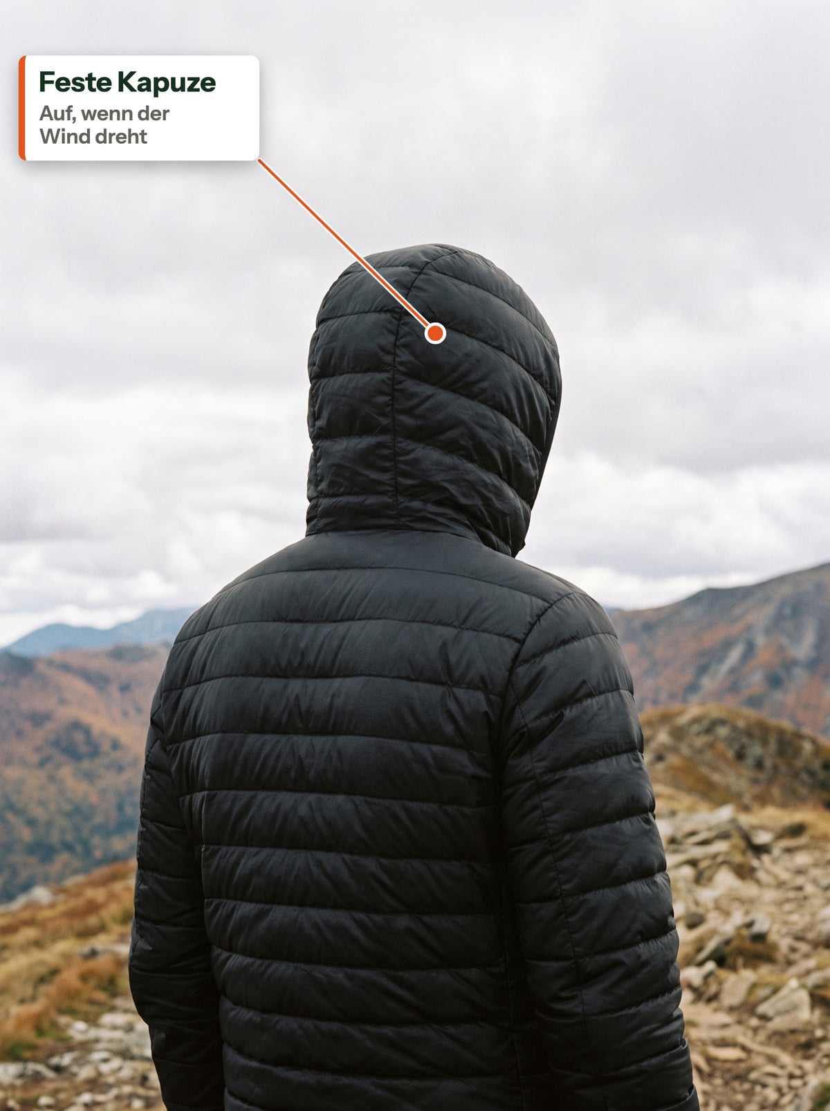 Schwarze Daunenjacke mit aufgesetzter Kapuze auf einem Bergkamm, von hinten (DE label)