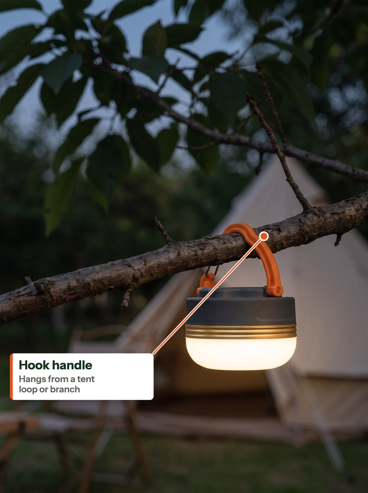 Camp lantern hanging from a branch by its hook handle (EN label)
