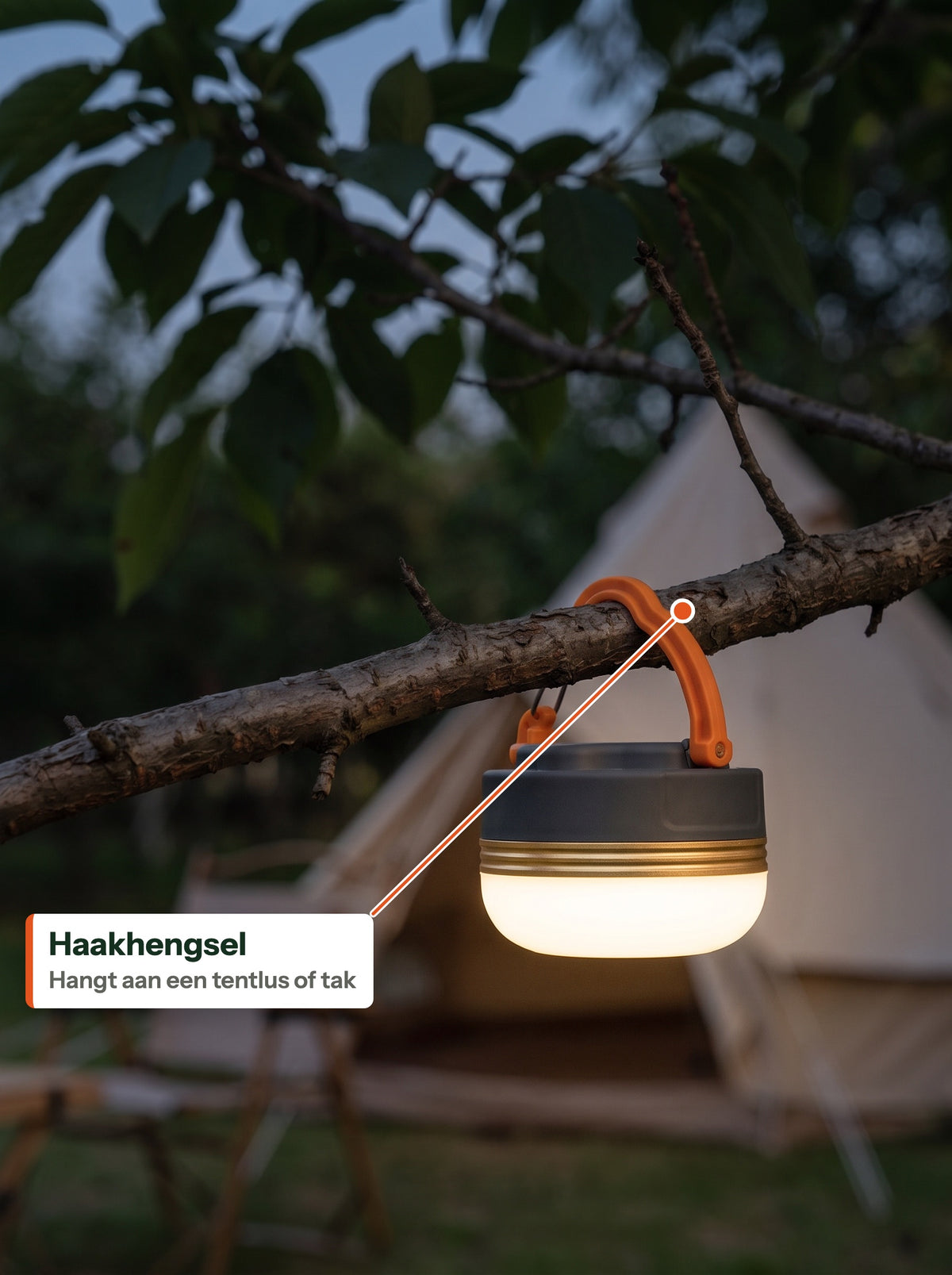 Kampeerlamp hangt met het haakhengsel aan een tak (NL label)