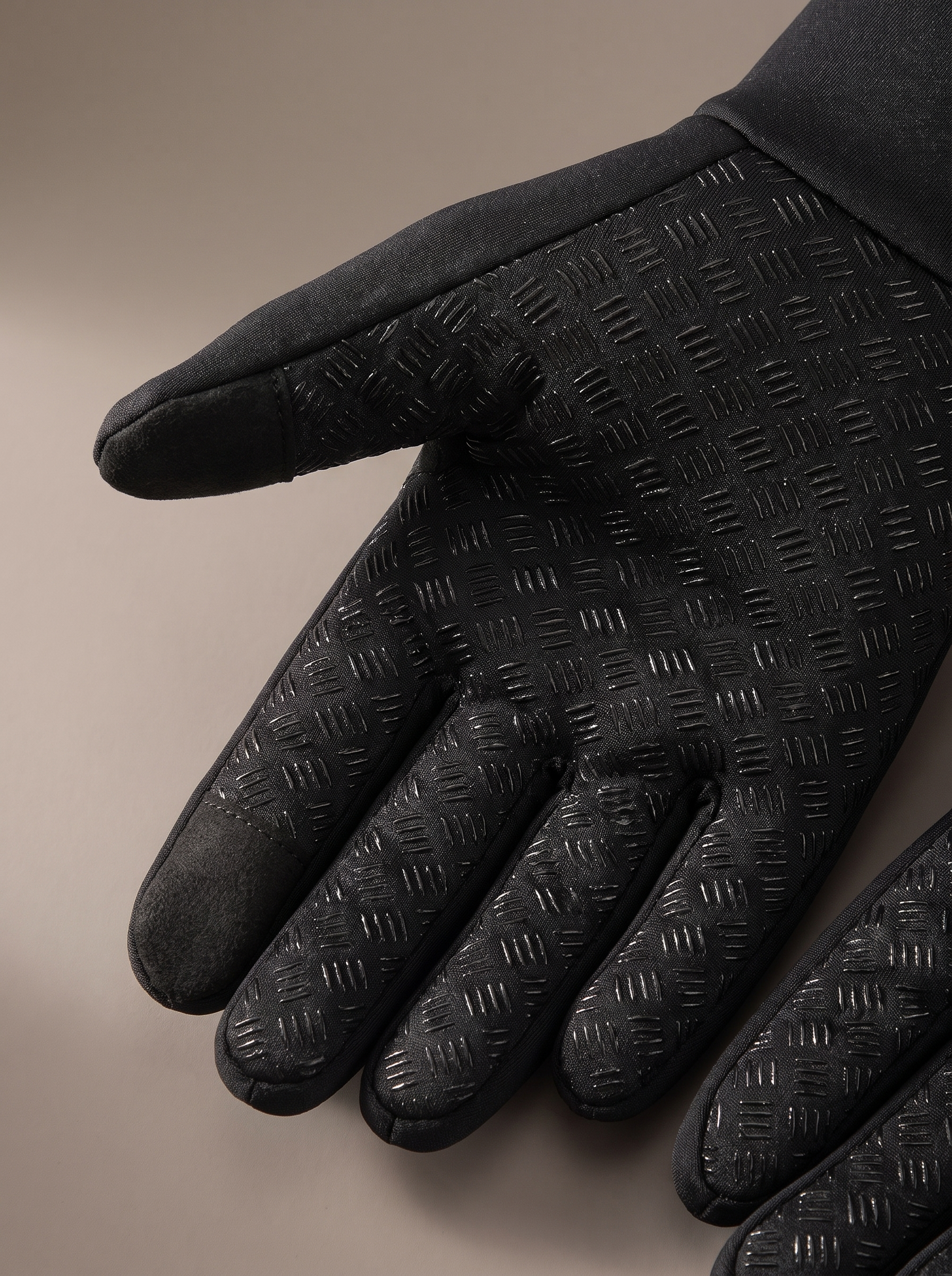 The Winter Gloves