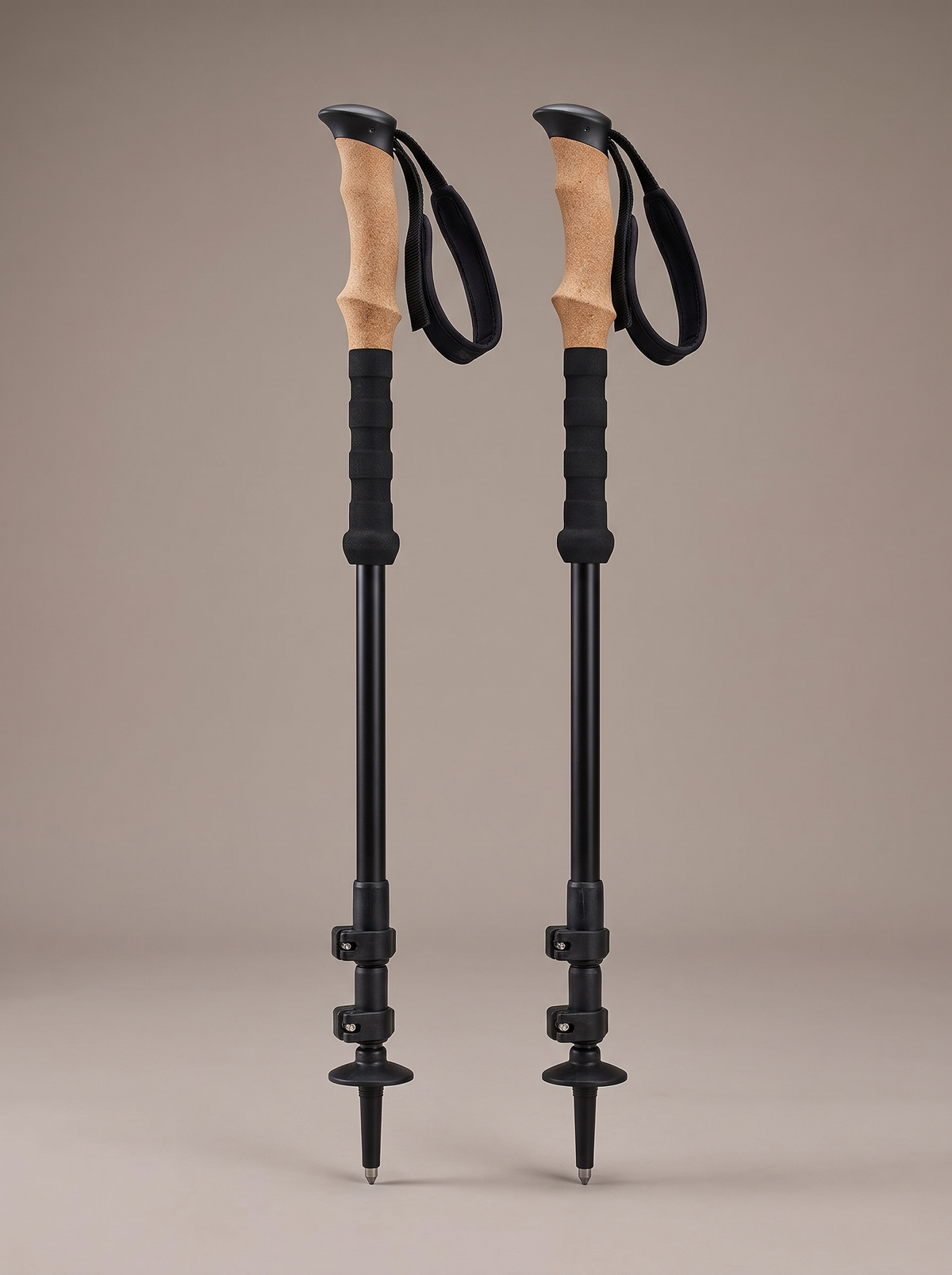 The Trekking Poles