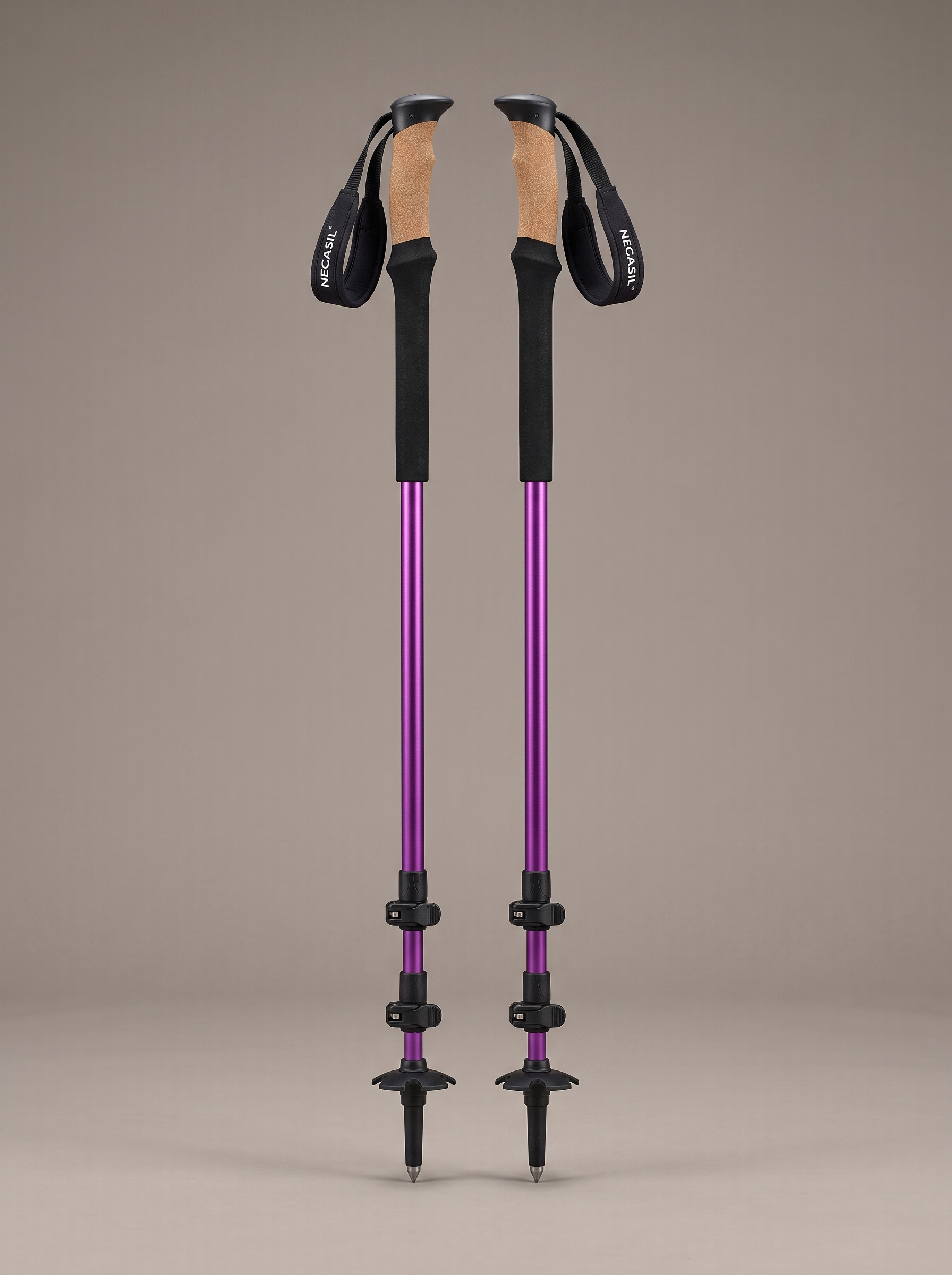 The Trekking Poles