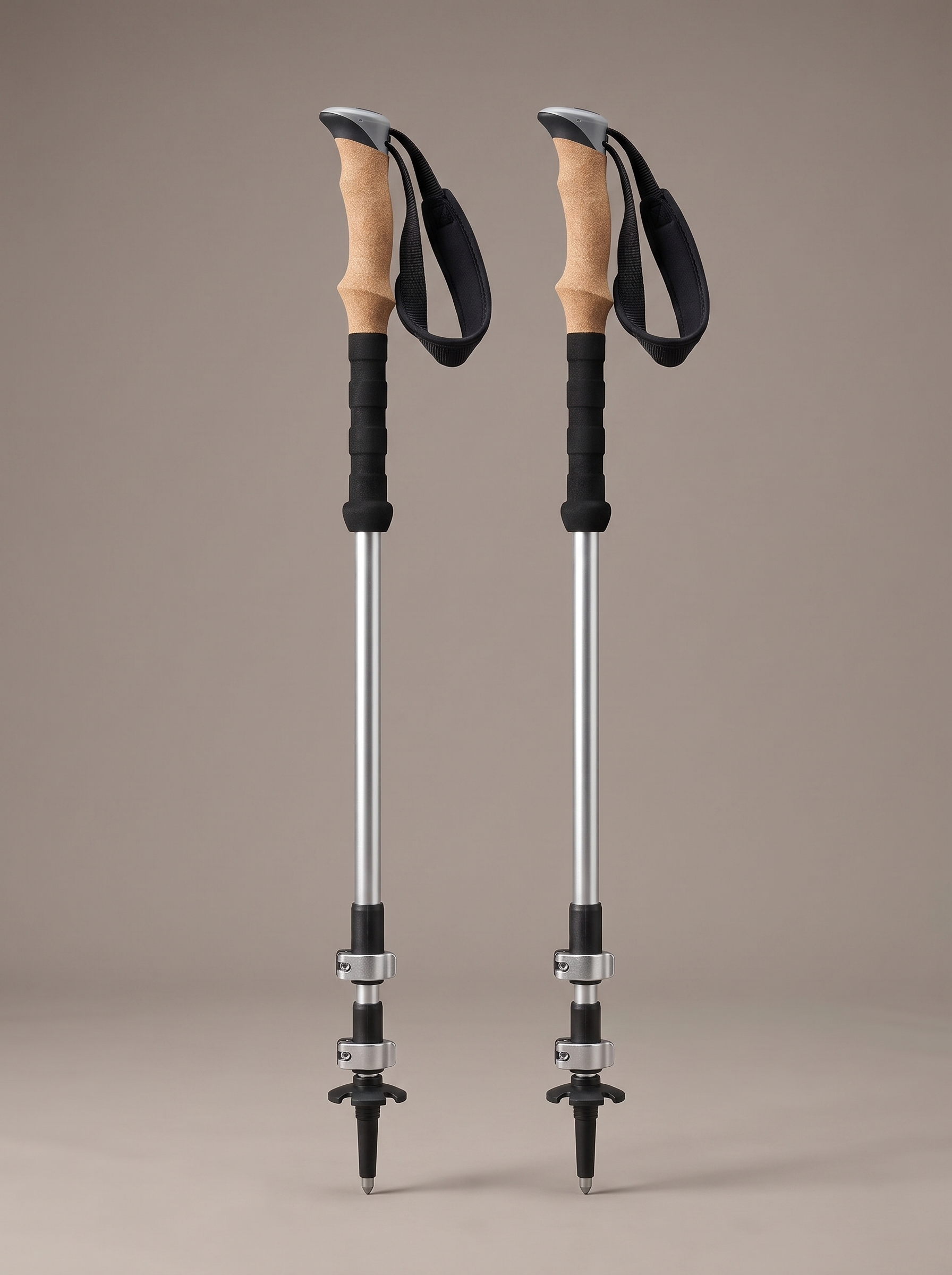 The Trekking Poles